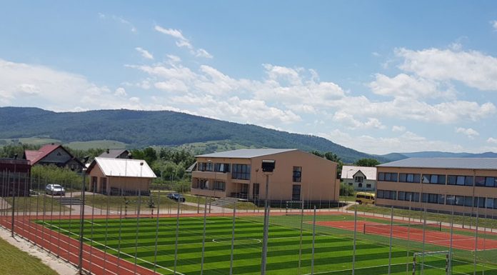 Alege să-ți înființezi o afacere cu terenuri din gazon sintetic Teren gazon sintetic