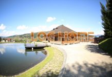 Obține casa mult visată cu Log Home casa-din-lemn-rotund-2